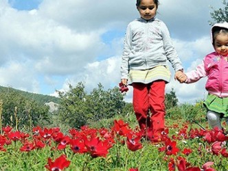 İlk cemre bu gün havaya düşüyor