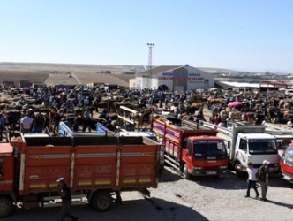 Kırşehir canlı hayvan pazarı yeniden açıldı