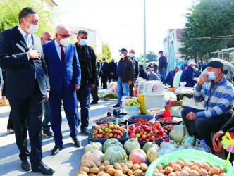 Cevizde Bu Yıl Rekolte 3 Bin Ton