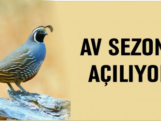 AV SEZONU AÇILIYOR