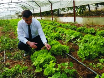 Kaymakam  Nurullah Kaya Savcılı  Büyükoba Köyündeki Seraları Gezdi