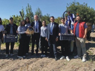 ÇEDES Projesi Kapsamında Üzüm  Hasadı Buluşması Gerçekleştirildi