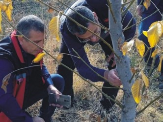 Başköy’deki Ceviz Bahçelerinde  Hastalıkla Mücadele Eğitimi Verildi