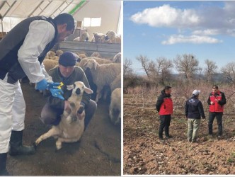 Kaman, Boztepe ve  Çiçekdağı’nda Tarım  Denetimleri Sürüyor