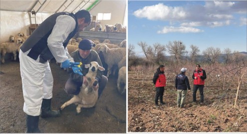 Kaman, Boztepe ve  Çiçekdağı’nda Tarım  Denetimleri Sürüyor