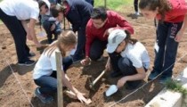 Kalehöyük Arkeoloji müzesinde yaz okulları başladı